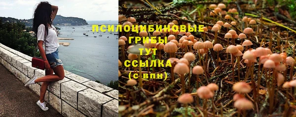 дживик Новозыбков