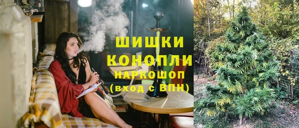 дживик Новозыбков