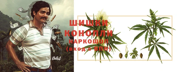 дживик Новозыбков