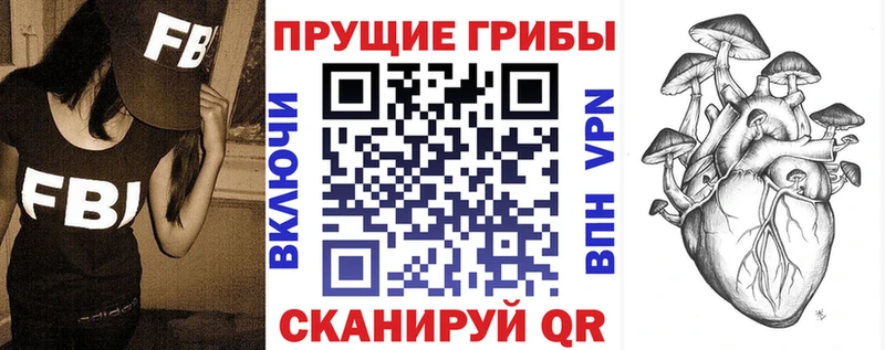Галлюциногенные грибы Psilocybine cubensis  хочу   Сергач 